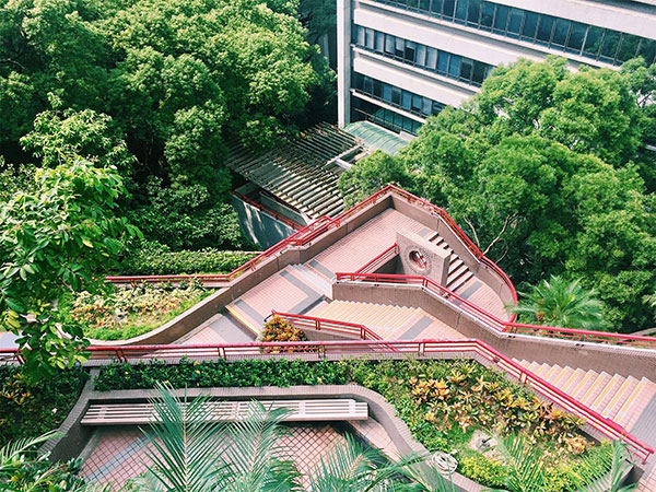 香港大学