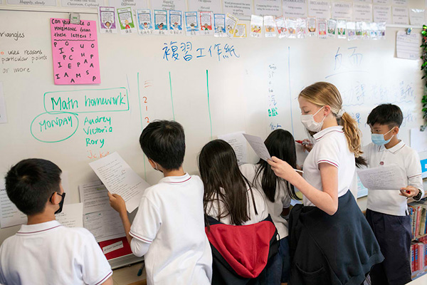 香港小学插班生申请流程（香港小学学位申请程序）