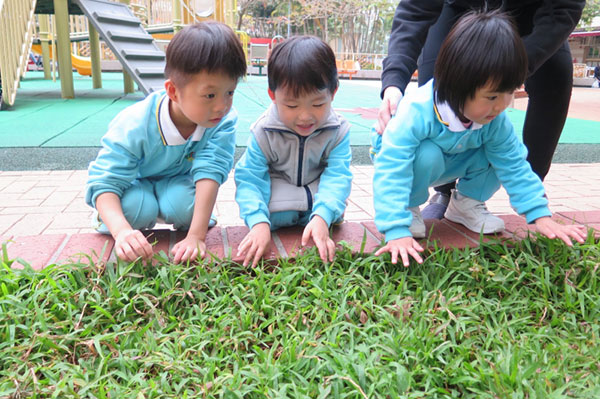 嘉諾撒聖心幼稚園：带给孩子快乐学习的童年经历